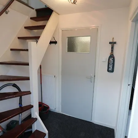 Renovated House